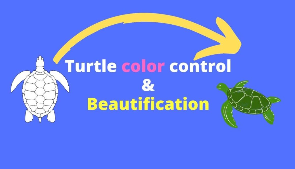 Turtle color control & Beautification