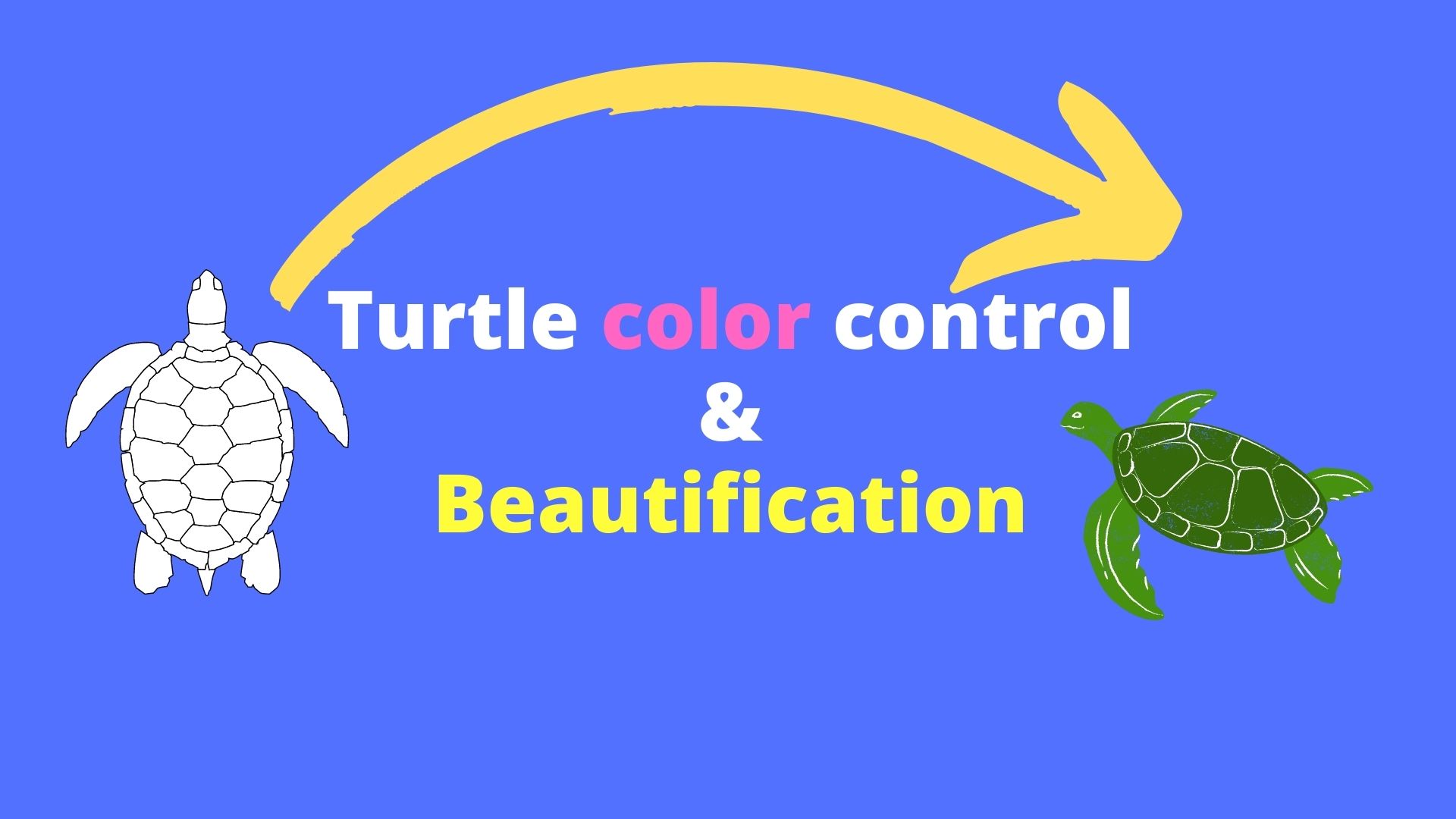 Turtle color control & Beautification