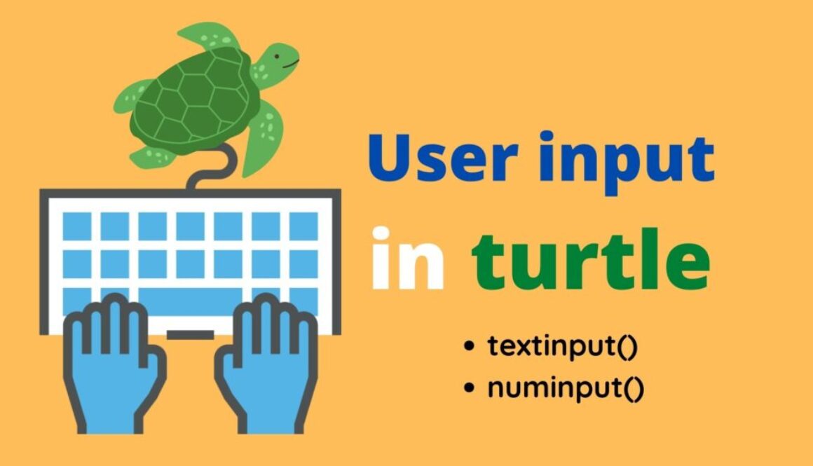 User input in turtle
